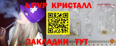 прущие крисы Будённовск
