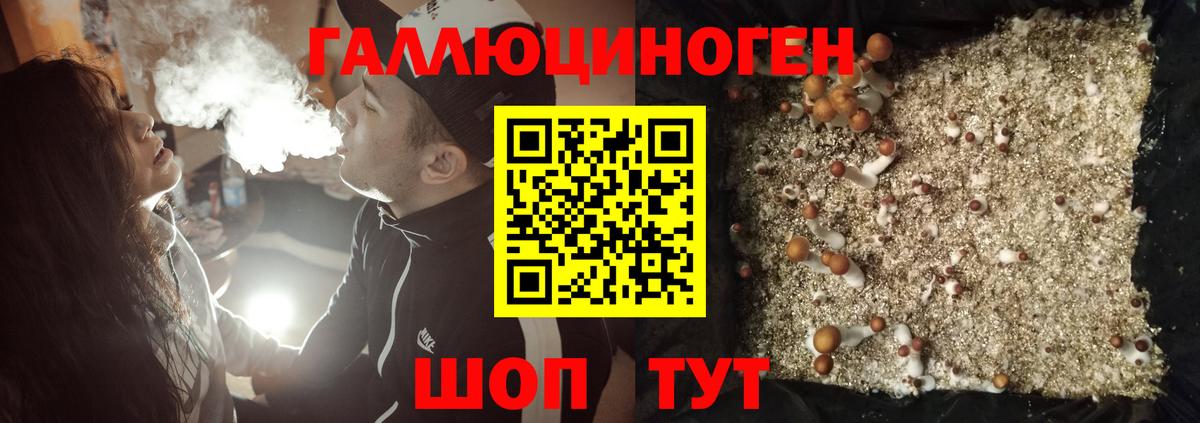 Галлюциногенные грибы MAGIC MUSHROOMS Серпухов